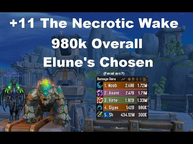 +11 The Necrotic Wake  | Guardian Druid PoV | Almost a million overall