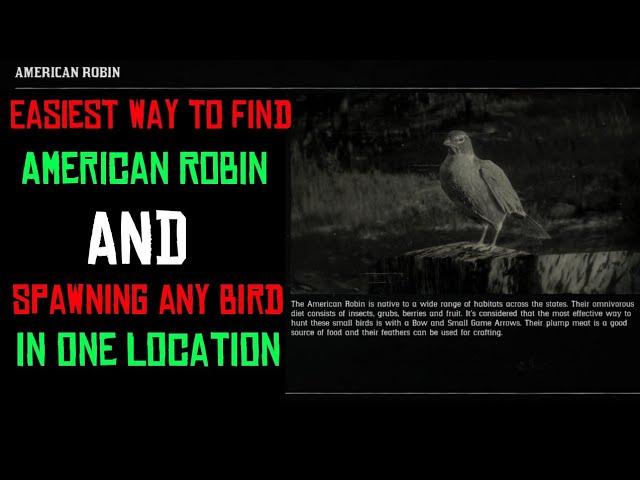 American robin location rdr2 | and all bird in one location