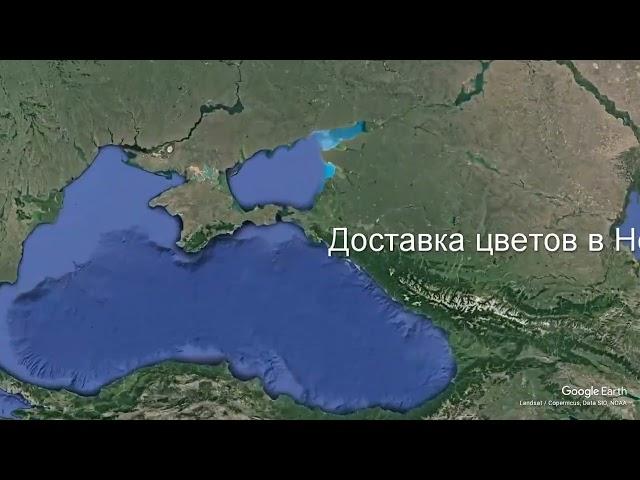 Доставка цветов в Новороссийске - Заказ букетов от компании Скорая подарочная помощь