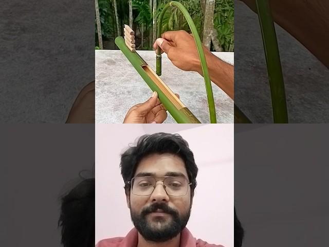 Bamboo gun targets to cup 