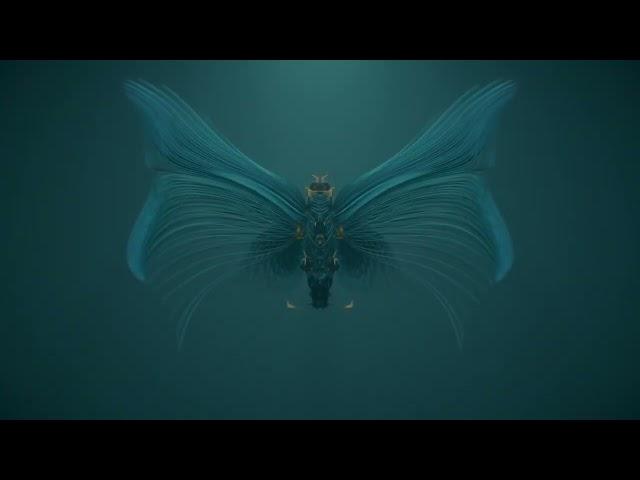 Ludovico Einaudi - Einaudi: Fly (Visualiser)