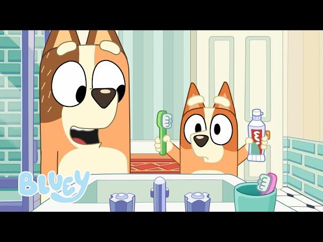 Robo Bingo  🪥 | FULL BLUEY MINISODE | Bluey