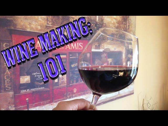 Beginner Brewer Series:  Wine Making 101