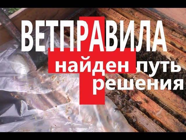 Ветправила! Найден путь решения!