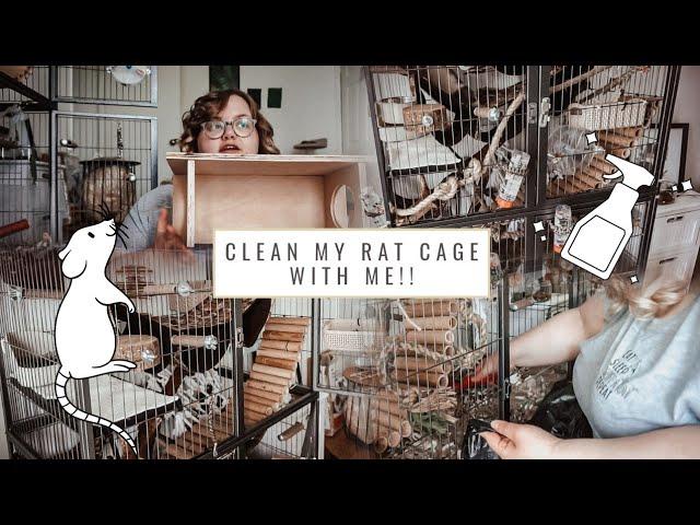 clean my RAT CAGE with me! 