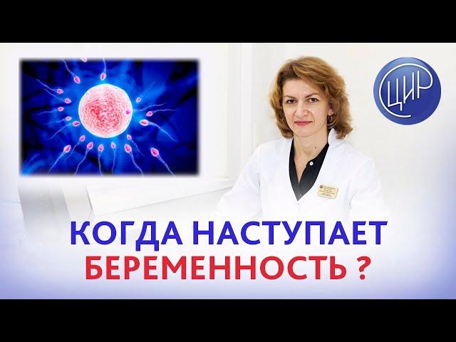 Овуляция и оплодотворение. Когда наступает беременность после овуляции? Дементьева С.Н.