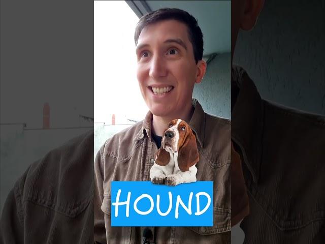 The dog mystery.