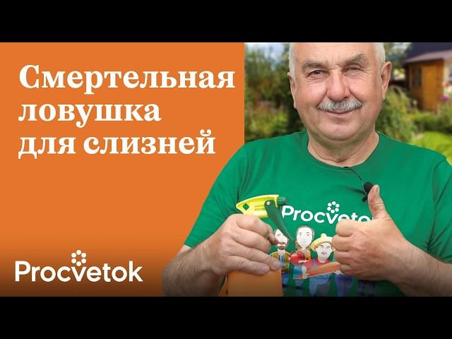 СЛИЗНИ УЙДУТ И НЕ ВЕРНУТСЯ! Не дайте слизням перезимовать - приготовьте им смертельную ловушку