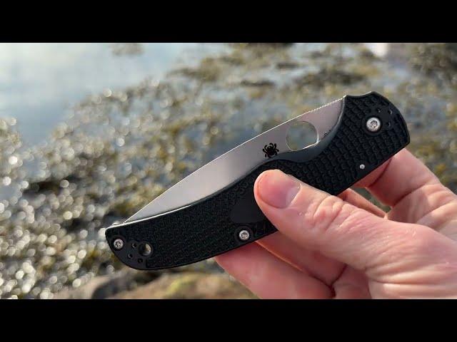 Spyderco Native Chief, Black, Lightweight, SpyderEdge C244SBK