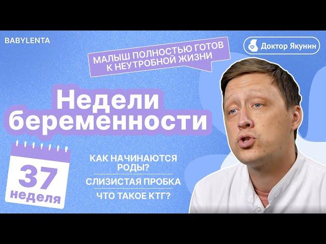 37 неделя Беременности  - как начинаются Роды? Все отвечты от доктора #беременность #недели