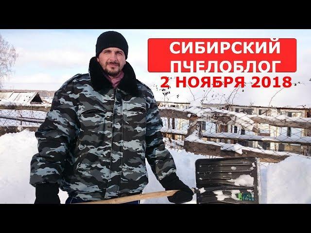 одних в зимовник других под снег/зимовка пчел в помещении и под снегом