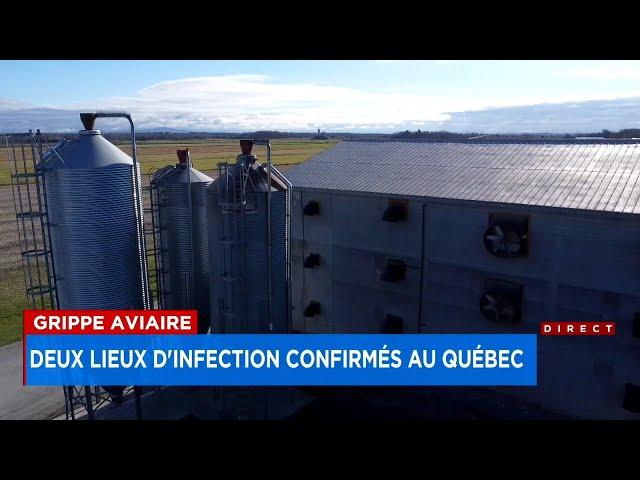 Deuxième site d’infection de grippe aviaire dans une ferme de la Montérégie