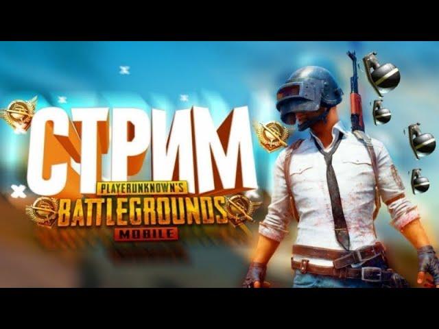 PUBG MOBILE OXOTNIK TIGR LIVE FAQAT OV QILISH TOP 1GACHA