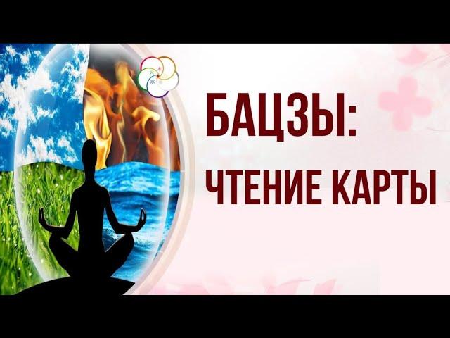 БАЦЗЫ для Начинающих:  Ваш Элемент Личности