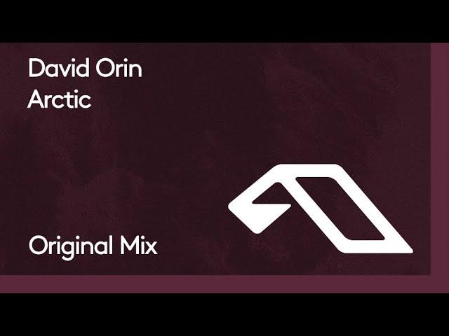 David Orin - Arctic