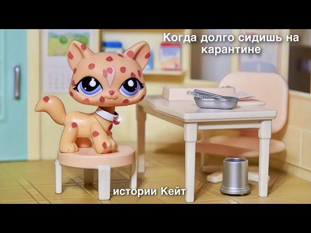 LPS : АЛЛЕРГИЯ / ИСТОРИИ КЕЙТ № 2