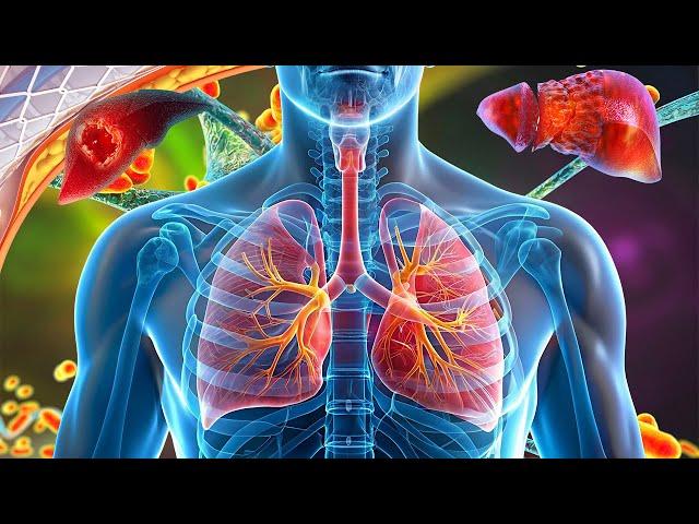 YOU WILL FEEL DEEP HEALING for For Respiratory System - Lung Massages (4Hz • Binaural Beat) #2
