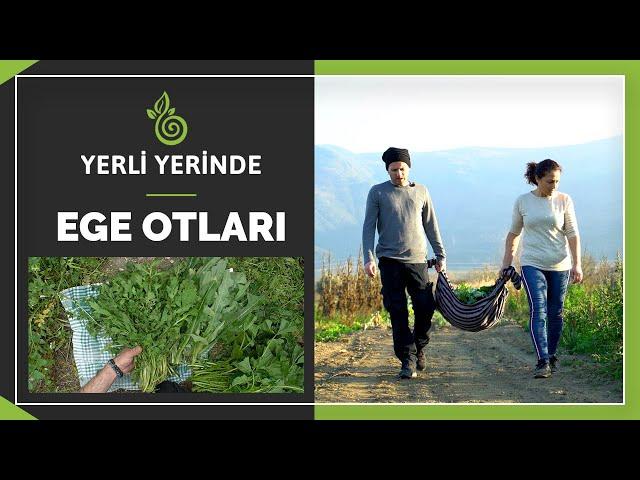 Kısık Ateş ile Yerli Yerinde 2.Bölüm: Ege Otları