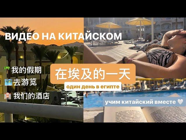  在埃及的一天// один день в египте// видео на китайском языке