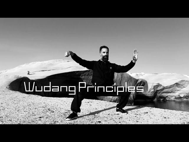 Wudang Taichi-Stefan Strasser. Relax, sit back, feel the vibes and let go, that’s the flow.