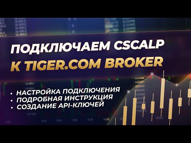 Как подключить CScalp к Tiger.com Broker | Актуальная инструкция