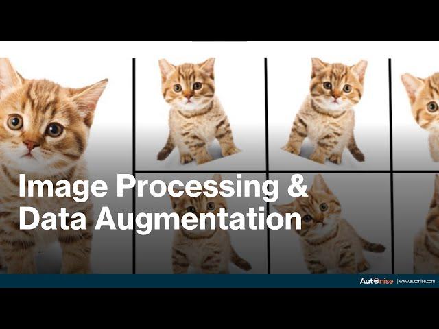 Image Processing using Numpy