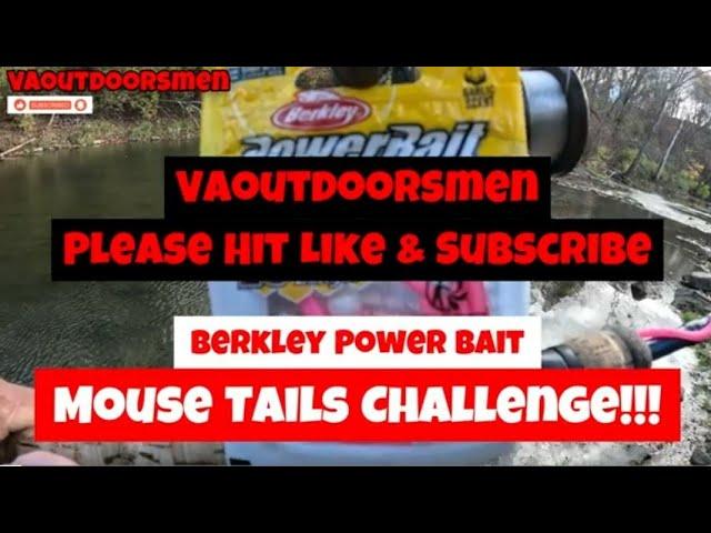 Berkley Power Bait Mouse Tail "Challenge" Trout Fishing Va 2024