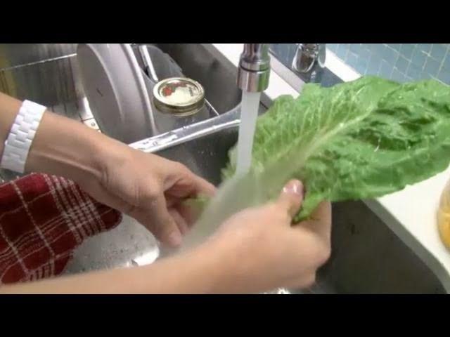 How to avoid e-coli: Tips for safe food preparation