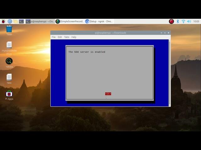 access raspberry pi 4 from anywhere in the world | raspberry pi 4 remote ssh