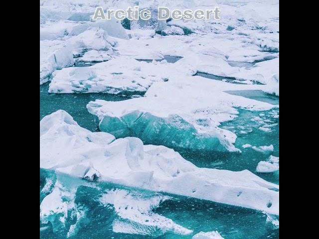 Arctic  Desert Short Info :Part 1 #youtubeshorts #youtube #ytshorts