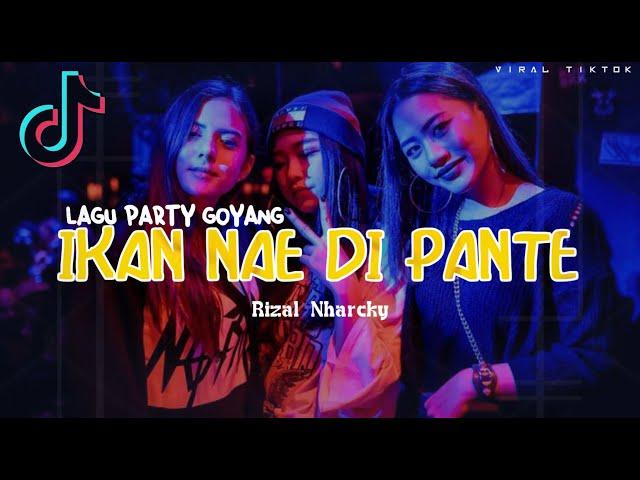 IKAN NAE DI PANTE REMIX - RIZAL NHARCKY [Viral Tiktok 2024] New!!!