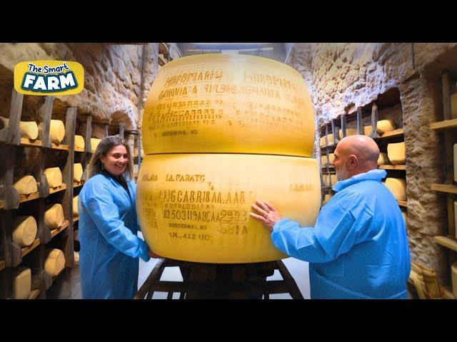 AMAZING Parmesan Cheese Production: Discover The Largest Parmesan Factory!