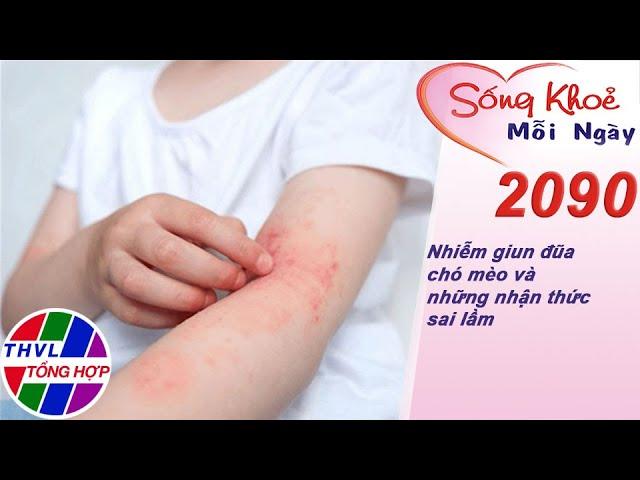 Nhiễm giun đũa chó mèo và những nhận thức sai lầm | Sống khỏe mỗi ngày - Kỳ 2090