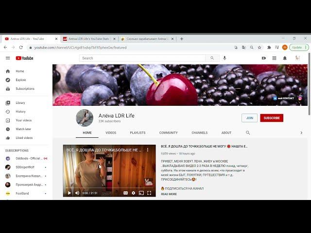 Алёна LDR Life , обзор канала на YouTube