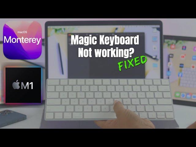 Fix- Apple Magic Keyboard Not Connecting/Pairing/Turning ON! [macOS Monterey]