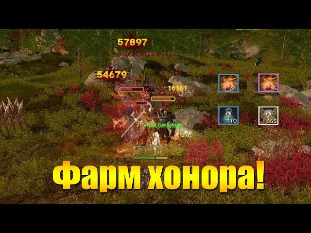 ARCHEAGE 9.0 - ФАРМ ОЧКОВ ЧЕСТИ НА ЭЛИТКАХ В СОКРЫТОЙ ДОЛИНЕ, НАСКОЛЬКО БЫСТРО?