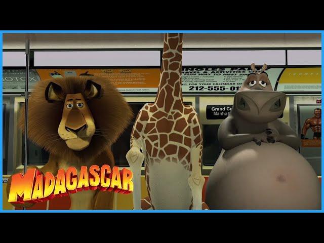 DreamWorks Madagascar | Escape From New York | Madagascar Movie Clip