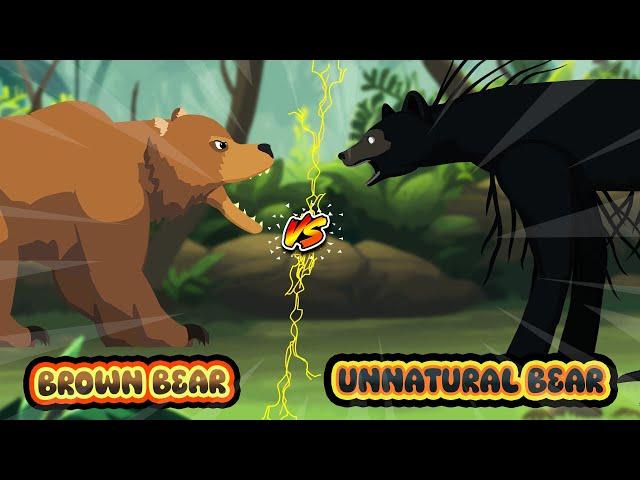 Unnatural Bear vs Brown Bear | Unnatural Habitat Animals Animation