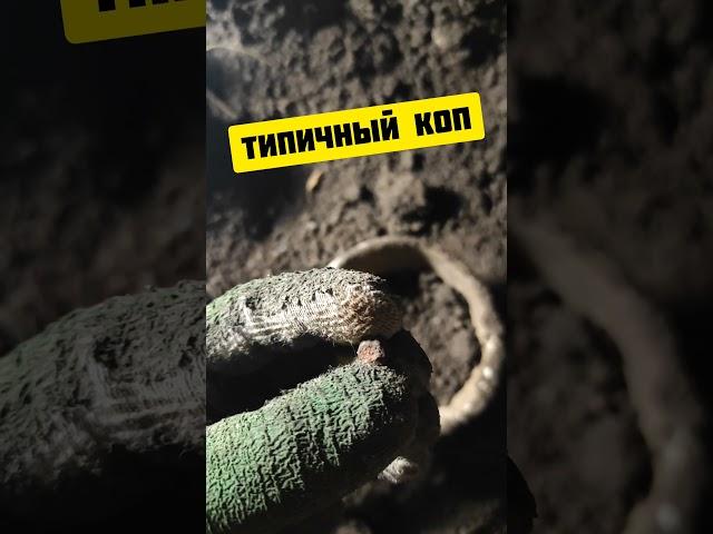 ЧЕСТНЫЙ КОП МЕТАЛЛА В ЛЕСУ И ОГОРОДЕ МОЖЕТ ПРИНЕСТИ ЗОЛОТО, МОНЕТЫ #shorts