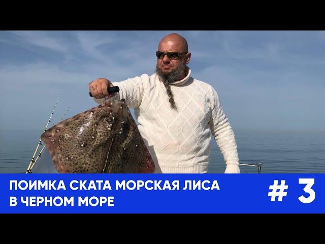 Поимка ската морская лиса в Чёрном море.