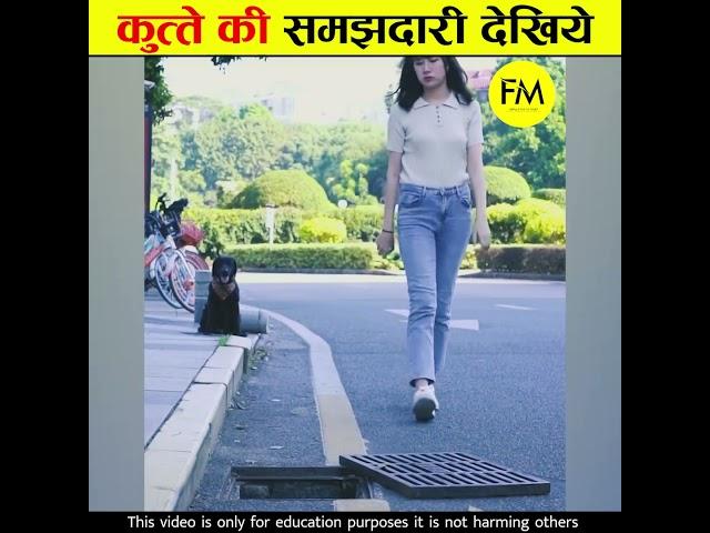 कुत्ते की ऐसी हरकत देख आप रो पड़ोगे  #shorts #humanity #factmind ( Part 2 )