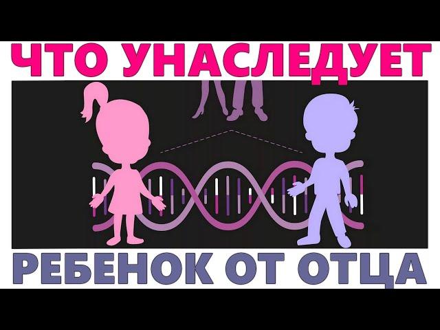 ЧТО ПЕРЕДАЕТСЯ ОТ ПАПЫ И МАМЫ ДЕТЯМ | Какие гены передаются детям от папы, а какие от мамы