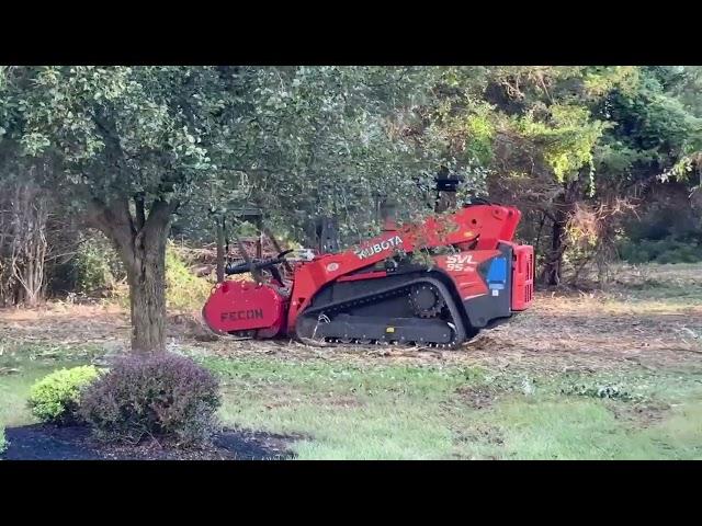 Land Clearing, Skillman NJ, 09/14/2023