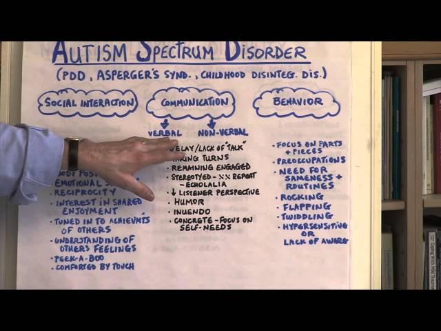 What Is Autism Spectrum Disorder?