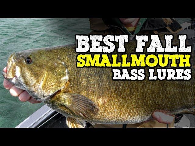 Top 5 Fall Smallmouth Bass Lures 