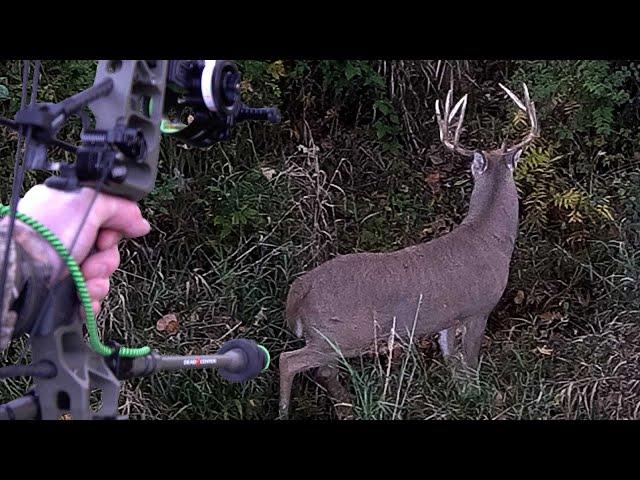 Big Buck Sneaks Up On Bowhunter @ 15 Yards!