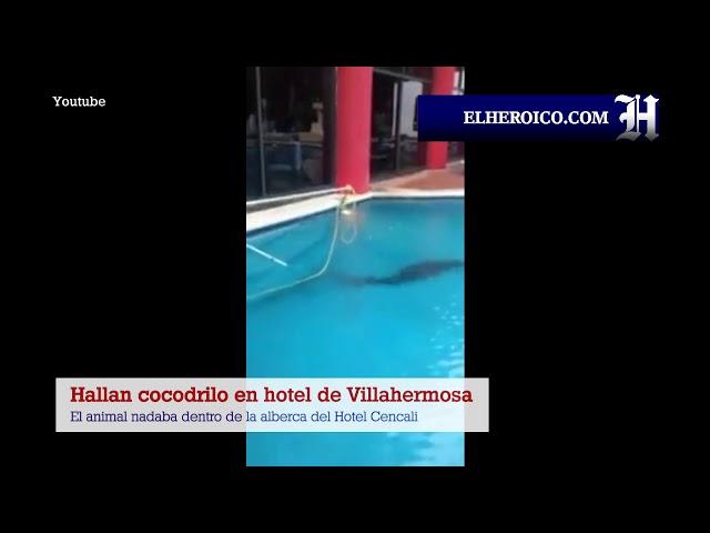 Hallan cocodrilo en antiguo hotel Cencali de Villahermosa Tabasco