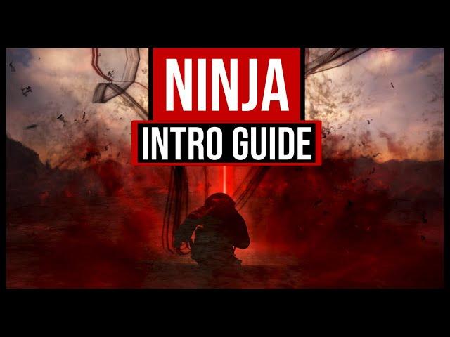 Bdo Ninja succession ~ Intro guide 2020
