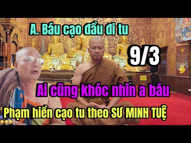 ANH BÁU XUỐNG TÓC ĐI TU AI BIẾT TIN CŨNG KHÓC.. XIN Ý KIẾN VỀ ANH PHẠM HIỀN NÓI VỀ SƯ MINH TUỆ