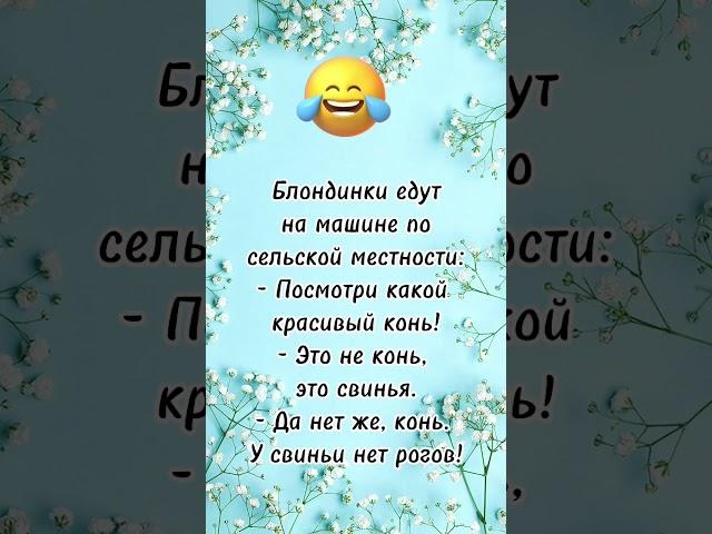 Блондинки едут… анекдот дня! Смешно до слез! Отправляй сам знаешь кому! Юмор дня!